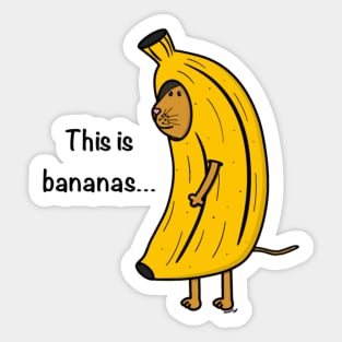 Bananas Cat Sticker